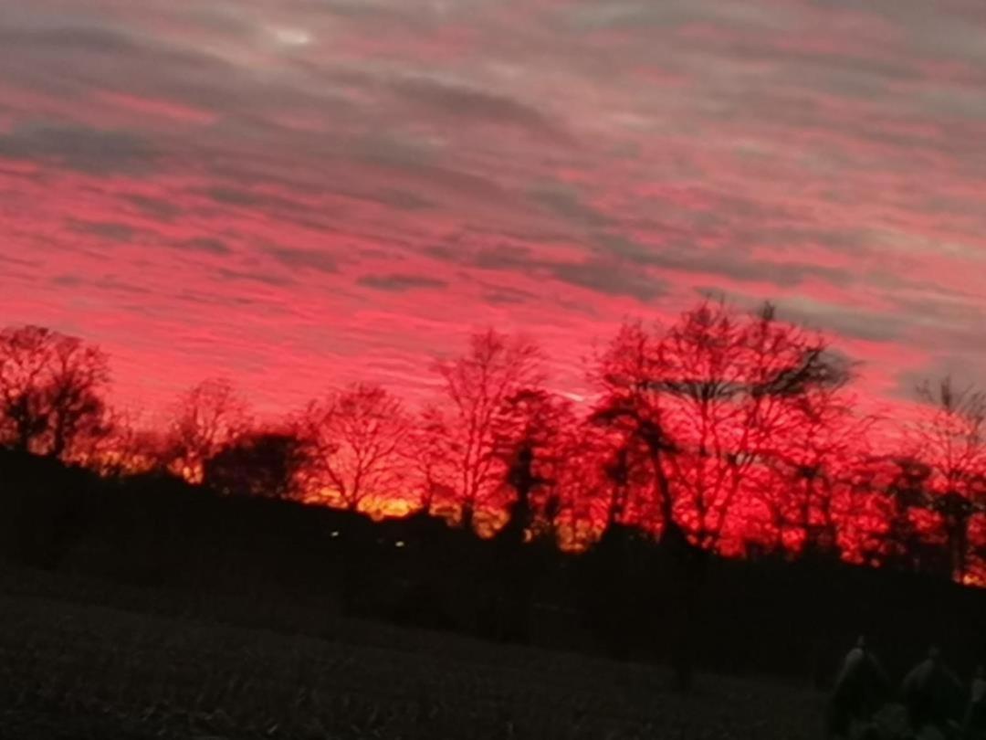 Ferienwohnung Aurich Ostfriesland Esterno foto