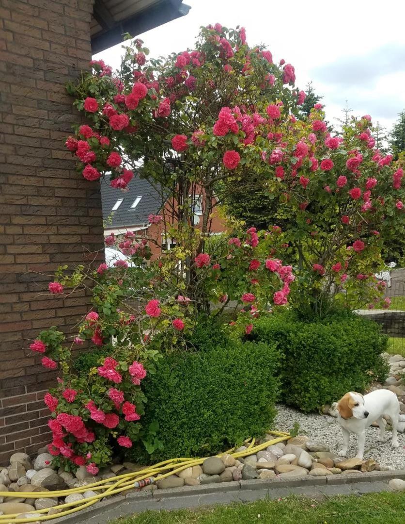 Ferienwohnung Aurich Ostfriesland Esterno foto